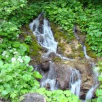 Waterfall in the Alps of Austria